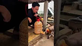 Creative ideas for making a simple feeding place for livestock breeders