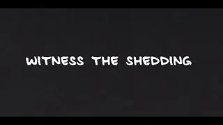 NONENTITIES - Witness The Shedding (lyric video)