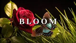 Background Music for Healing the Soul: Relaxation with Positive Energy and Gentle Melodies