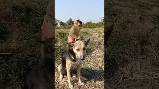 Viral video SokYaa,Sokhaa, To To And Mom Are Famous & Amazing #shorts
