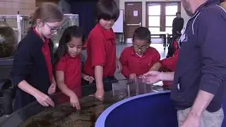 Ocean Institute Field Trip - 1st Grade (Fairmont Historic Anaheim Campus)