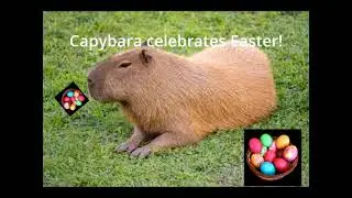 Capybara's High Inaugural Address!?!?