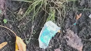 Rogers Park residents worried about widespread rat poison found in neighborhood