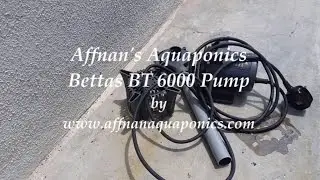 Базовая аквапоника &mdash; насос Bettas BT 6000