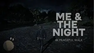 Me & the night | A Short Story | Peaceful Walk at Night | Relaxing Ambience |