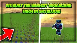 WE BUILT THE BIGGEST SUGARCANE FARM ON SKYBLOCK *INSANE*