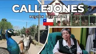 Callejones, Región del Maule (19 enero 2025)