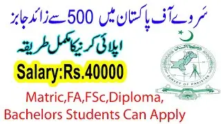 How To Apply In Survey Of Pakistan Jobs 2020 | Driver Data Operator Surveyor IT | Sultan Sulahudin