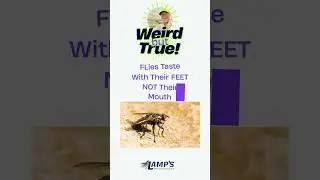 Creepy Pest Facts That Will Disturb You