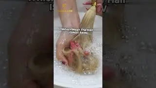 Luxshine Hair &ndash; 100% Raw, No Chemical Processing
