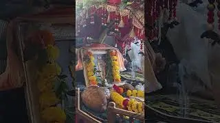 Sai Palkhi Status #saibaba #palkhi2025 #palkhisohla #shorts #ytshorts #viral #trending #status
