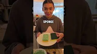 Funny Sponge Prank #youtubeshorts #shorts #funny