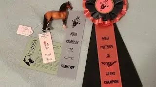 Live Model Horse Show Placings! (Indian Paintbrush Live 2023)