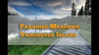 Paradise Meadows mount Washington | Vancouver Island