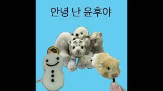 안녕 난 윤후야 - 송윤후 (풀앨범) / Hi I'm Yunhu - YUNHU (Full Album)