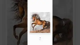 #coloring#paintbynumbers#shorts#viralshorts#trending#color#horse#viralgame#randomfacts#horsepainting