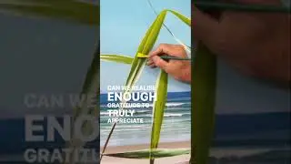 Grateful | Thoughts from the Easel with Mark Waller