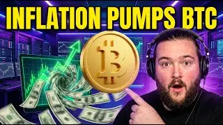 M2 Supply:  Bitcoins Leading Indicator