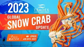 3MMI - Snow Crab: Highest Forecast, Downward Prices, Battle for China Market