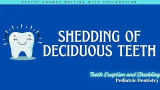 Shedding and Resorption of Deciduous Tooth |Tooth Eruption and Shedding |Pediatric Dentistry #mds