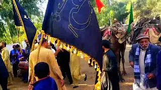 راجہ لیاقت کی اُونٹوں والی ڈالی 13رجب المرجب دربارِ عالیہ سخی زِندہ ولی سرکار بَل شریف 