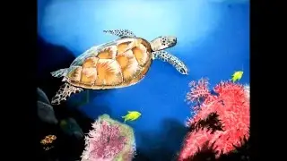 Turtle Reef - Erin Cloud