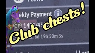 Champions Chest!horseridingtales