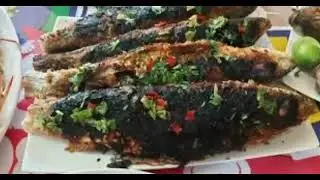 سمك ببوري وبلطى مشوى