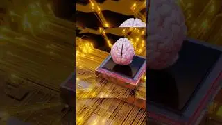 Neurohacking w kulturystyce 😱💪💯 #motywacja #dieta #siłownia #trening #cwiczenia #kulturystyka