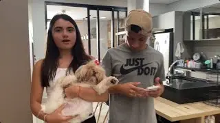 Estrogonofe e muito piii