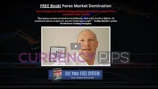 FOREX WEALTH STRATEGY - TOSHKO RAYCHEV FOREX MARKET DOMINATION REVIEW