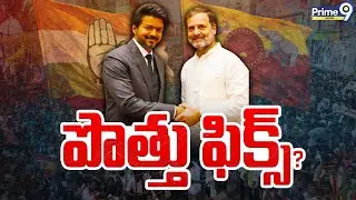 TVK Congress Alliance | పొత్తు ఫిక్స్ ? Vijay Thalapathy | Rahul Gandhi  | Tamil Nadu Elections 2026