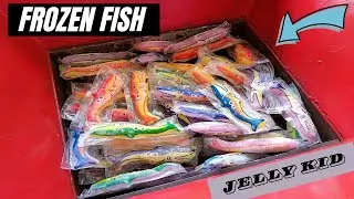 Frozen Jelly Fish Kid vs Fast Shredder Machine