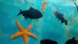 Madurai Aquarium Tunnel  /  Underwater fish tunnel / Madurai sea park