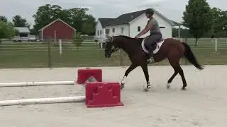Dudley Dickerson intro to jumping 5 3 25