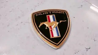 Premium Quality Mustang Emblem Logo Badge | First Look with Size
