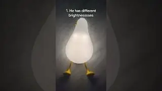 3 Reaons Why a Duck Lamp Should Be Your Next Purchase