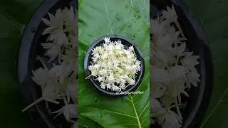 Urli decoration with flowers/vastu bowl with flowers positive energy into home/DIY floating flowers