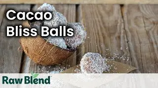 How to make Cacao Bliss Balls in a Vitamix Blender | Recipe Video