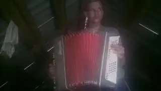 Angry Birds (cover Accordion)