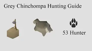 OSRS | Grey Chinchompa Hunting Guide | Quick guide