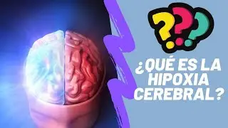 ¿Qué es la Hipoxia Cerebral? - Todo lo que debes conocer sobre La Hipoxia Cerebral