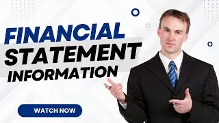 Financial Statement Mastery I Financial Statement Guide I Unlocking Financial Statements I Pro