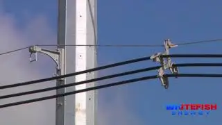 Whitefish Energy Update from Juncos