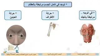 الصف الثاني عشر   المسار الأدبي   العلوم   أنواع العضلات وتركيب العضلة الهيكلية