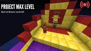 Project Max Level Livestream - Hypixel Skyblock