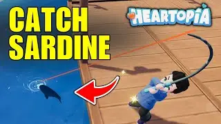 How To Catch Sardine in Heartopia - Full Guide