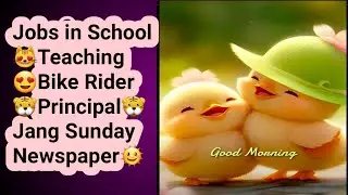 Job Vacancy 2024 in Karachi-School Teaching-Bike Rider-Jang Sunday Newspaper