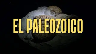 Paleozoico: La Era de la Vida Temprana | C&aacute;mbrico a P&eacute;rmico explicado 🌍