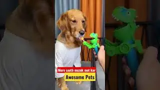 mere saath mazak mat kar 😡🥹 #awesomepets